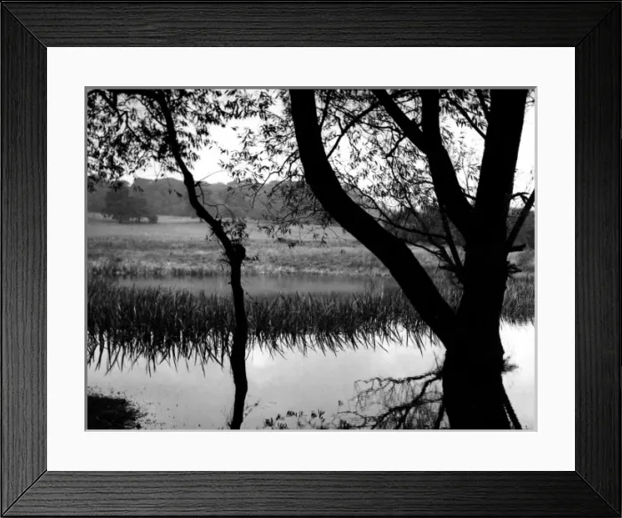 Framed Print : Highgate Ponds Framed Print : Highgate Ponds
