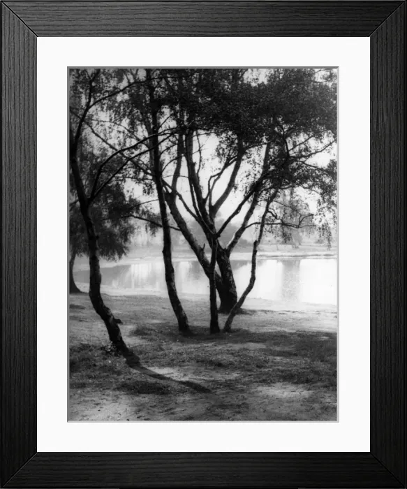 Framed Print : Wimbledon Common Framed Print : Wimbledon Common