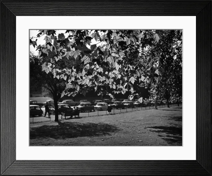 Framed Print : Autumn in Hyde Park Framed Print : Autumn in Hyde Park