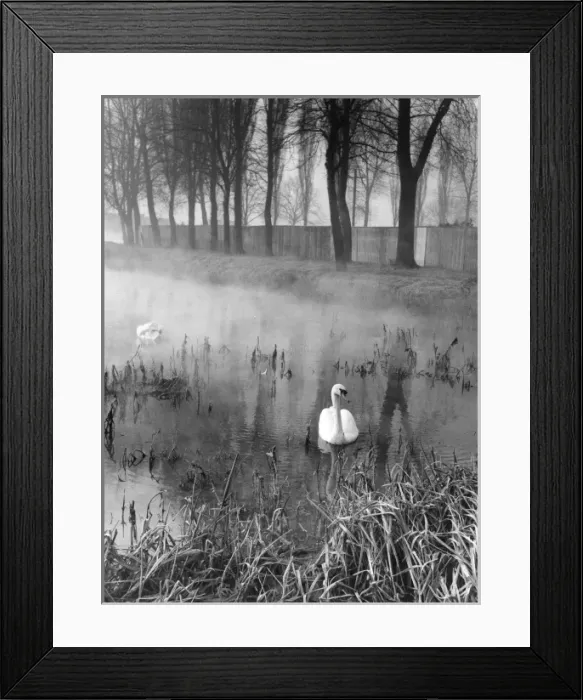 Framed Print : Mysterious Waters Framed Print : Mysterious Waters
