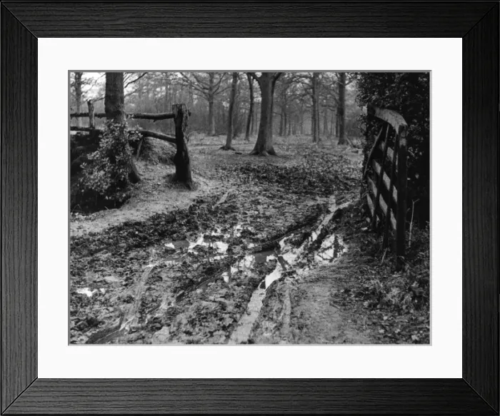 Framed Print : Muddy Gateway Framed Print : Muddy Gateway