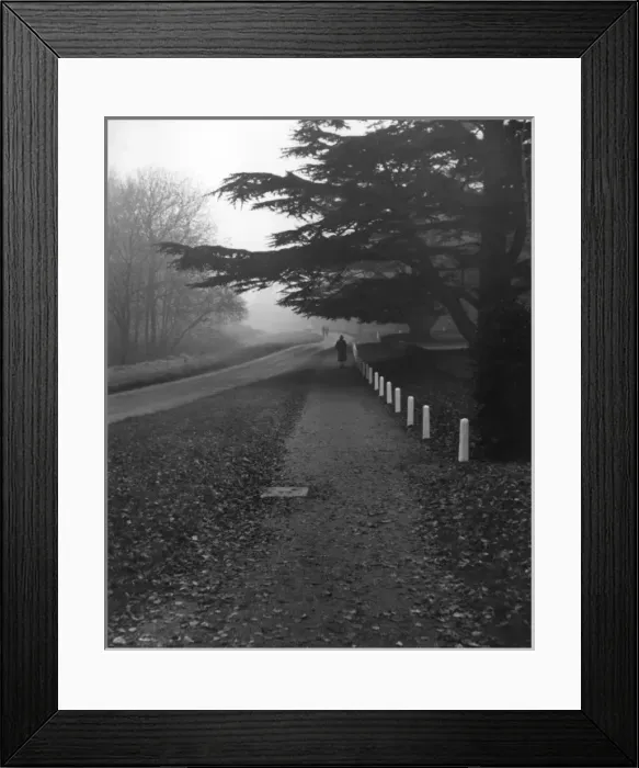 Framed Print : Autumnal Scene Framed Print : Autumnal Scene
