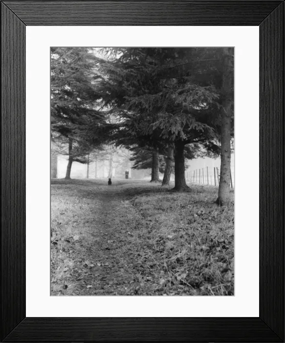 Framed Print : Autumn Mist Framed Print : Autumn Mist