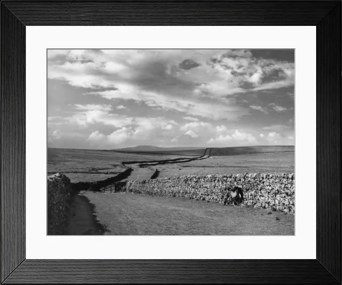 Framed Print : Yorkshire Trackway Framed Print : Yorkshire Trackway
