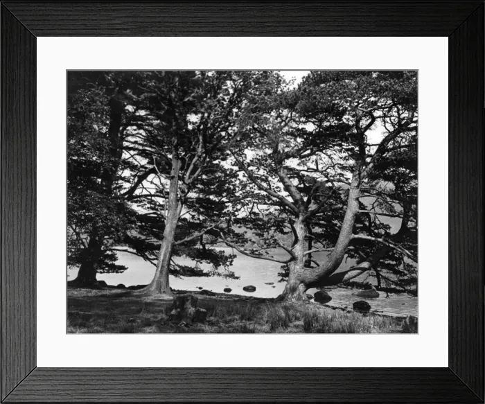 Framed Print : England / Derwentwater Framed Print : England / Derwentwater