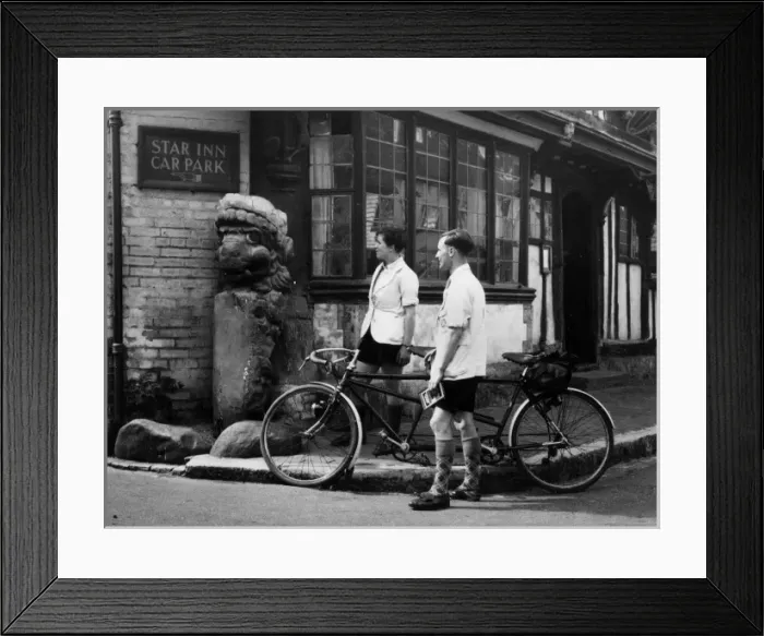 Framed Print : THE ALFRISTON LION Framed Print : THE ALFRISTON LION