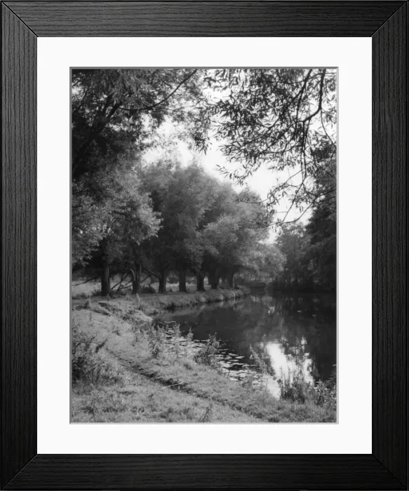 Framed Print : The River Wey Framed Print : The River Wey