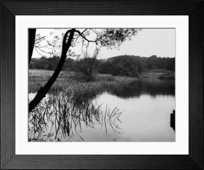 Framed Print : Highgate Pond Framed Print : Highgate Pond