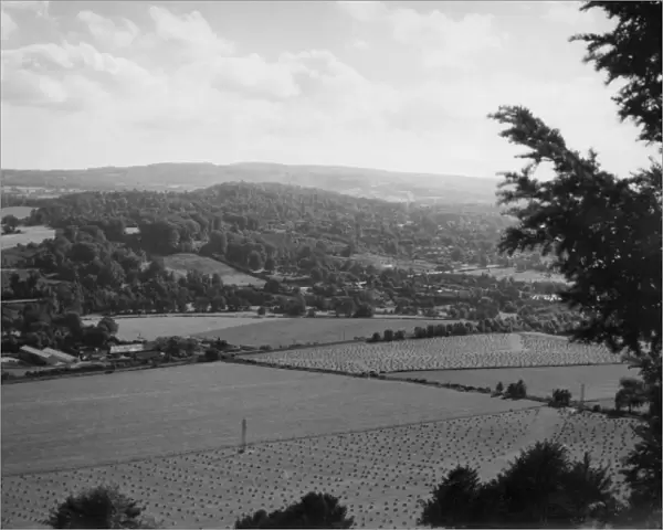 Surrey Panorama