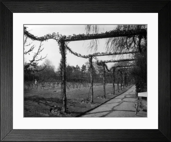 Framed Print : Garden Pergola Framed Print : Garden Pergola