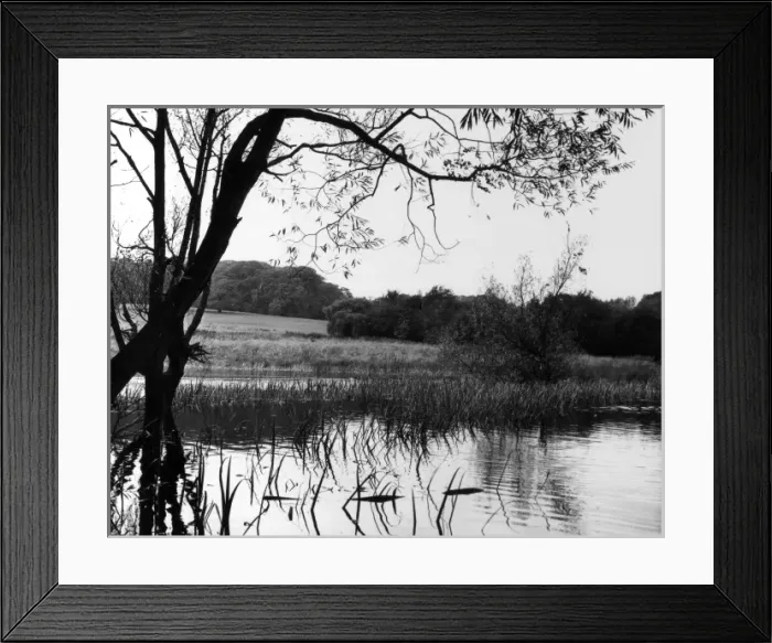 Framed Print : Highgate Pond Framed Print : Highgate Pond