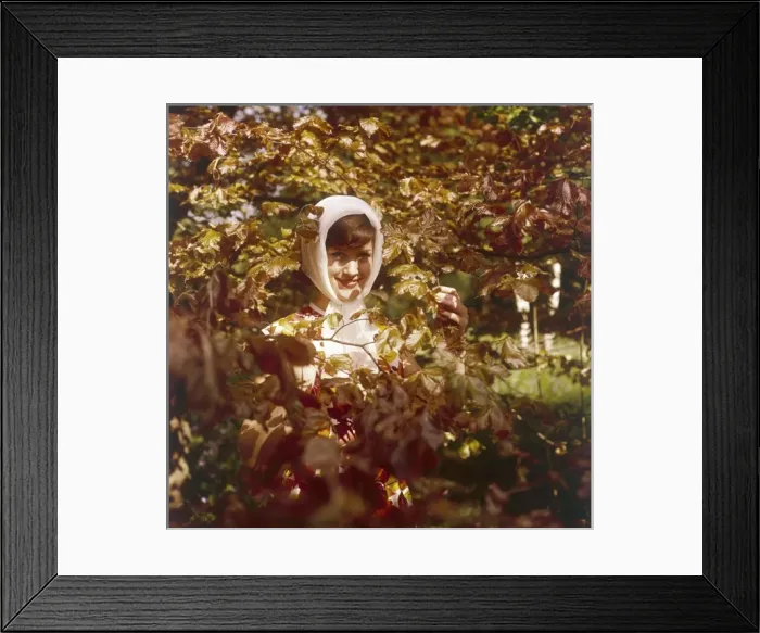 Framed Print : Autumn Model Framed Print : Autumn Model