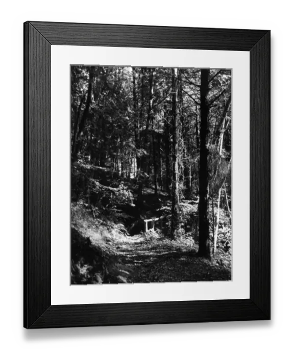 Framed Print : The Dingle, Gregynog Framed Print : The Dingle, Gregynog
