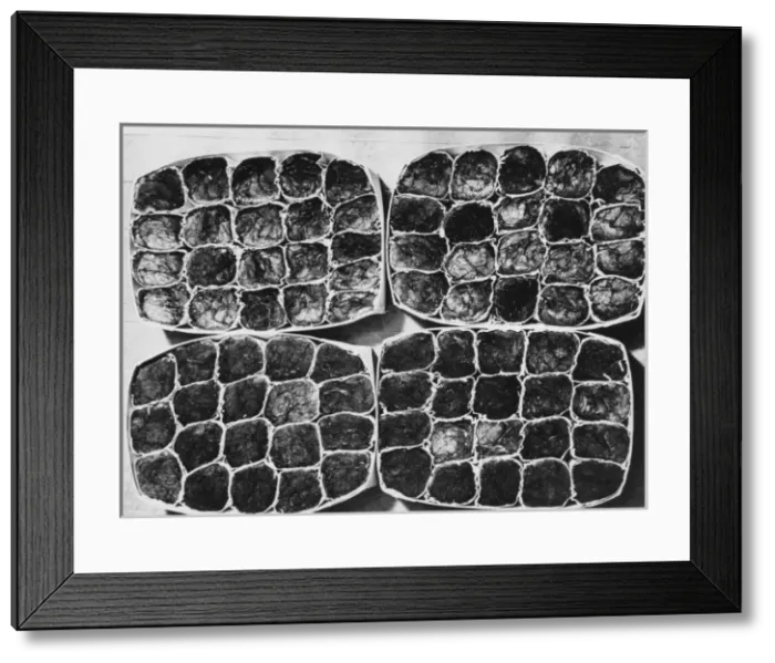 Framed Print : Making Poppies Framed Print : Making Poppies
