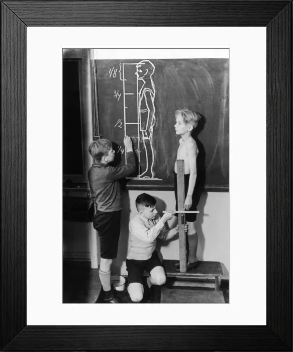 Framed Print : Anatomy Lesson Framed Print : Anatomy Lesson