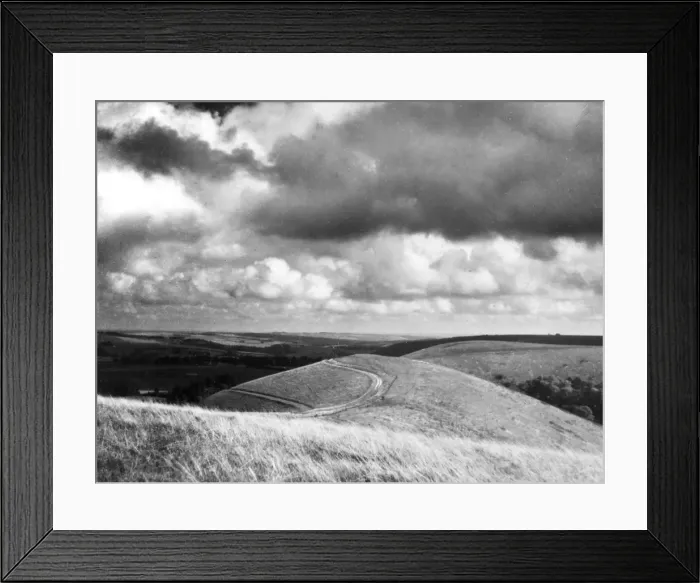 Framed Print : OX DROVE TRACKWAY Framed Print : OX DROVE TRACKWAY