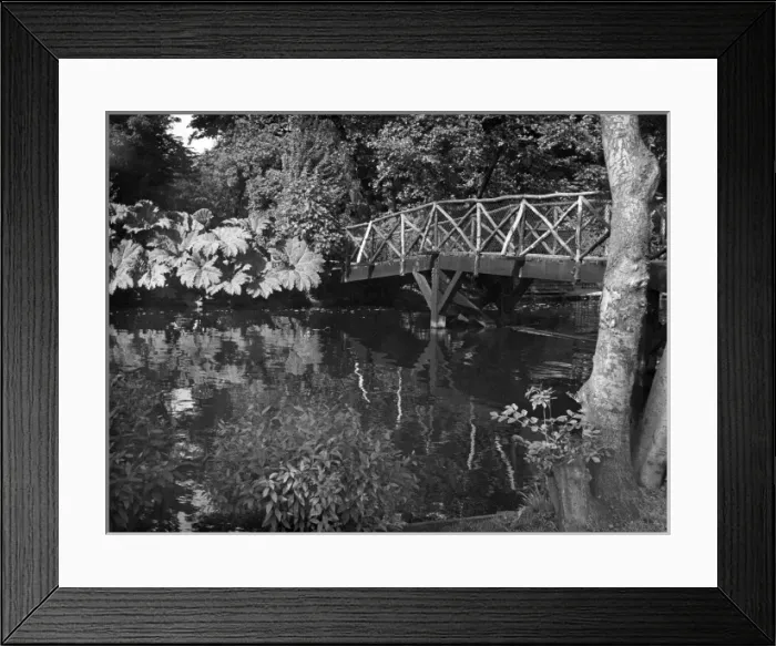 Framed Print : Morden Hall Park Framed Print : Morden Hall Park