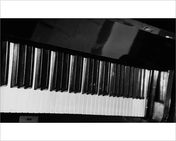 Bechstein Piano Keyboard