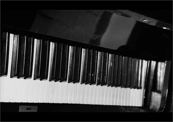 Bechstein Piano Keyboard