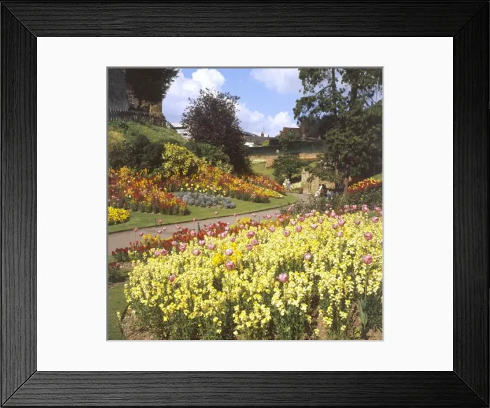 Framed Print : Guildford Castle Gardens