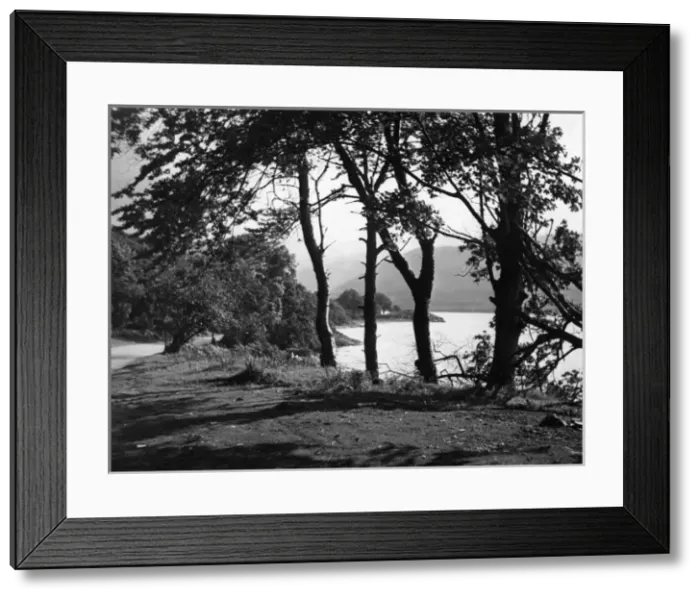 Framed Print : LOCH FYNE. A view beside Loch Fyne, Argyllshire, Scotland. Date: 1950s Framed Print : LOCH FYNE. A view beside Loch Fyne, Argyllshire, Scotland. Date: 1950s