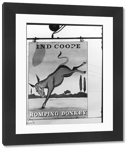 THE ROMPING DONKEY