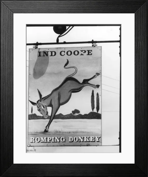 Framed Print : THE ROMPING DONKEY Framed Print : THE ROMPING DONKEY