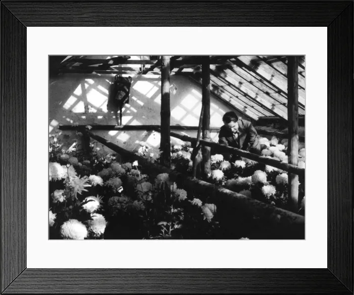 Framed Print : Greenhouse Nursery Framed Print : Greenhouse Nursery