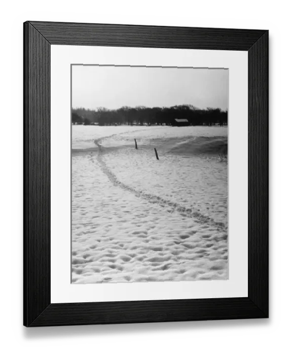 Framed Print : Footprints in the Snow Framed Print : Footprints in the Snow