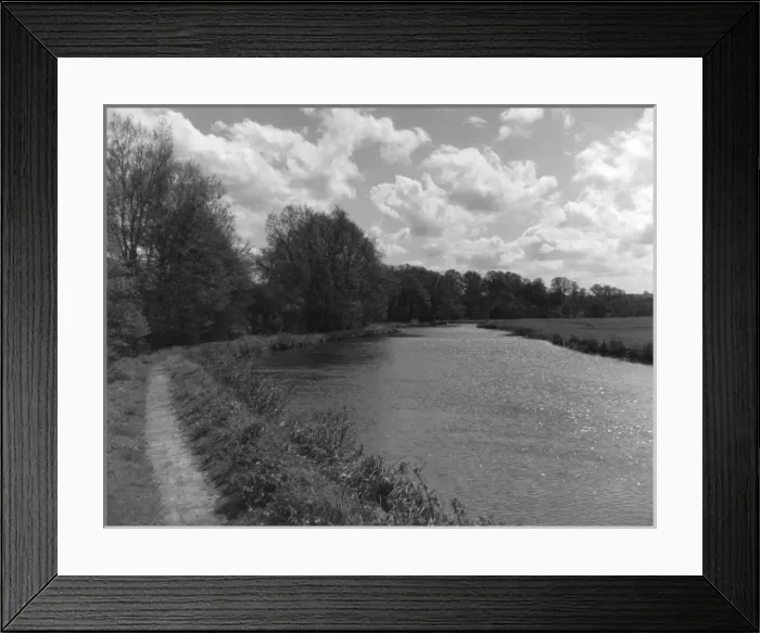 Framed Print : The River Wey Framed Print : The River Wey