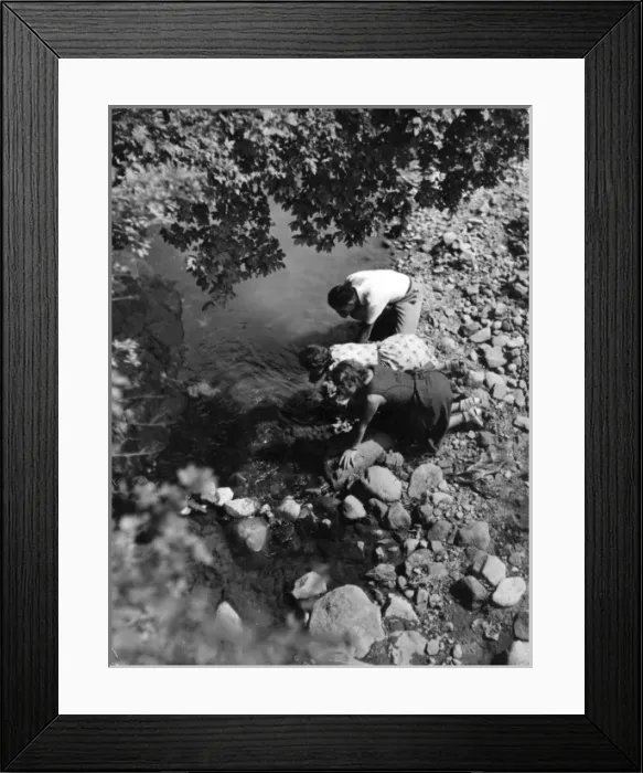 Framed Print : Drinking from a Stream Framed Print : Drinking from a Stream