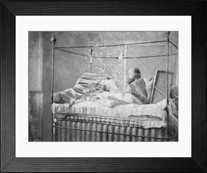 Framed Print : Garibaldi in Bed Framed Print : Garibaldi in Bed