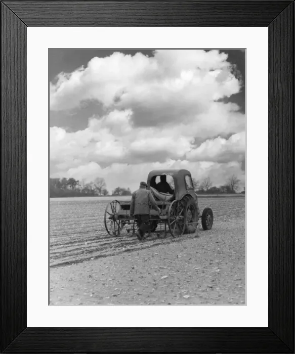 Framed Print : Drilling Sugar Beet Framed Print : Drilling Sugar Beet