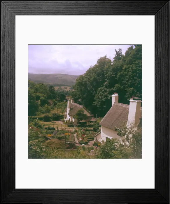 Framed Print : Selworthy Thatches Framed Print : Selworthy Thatches