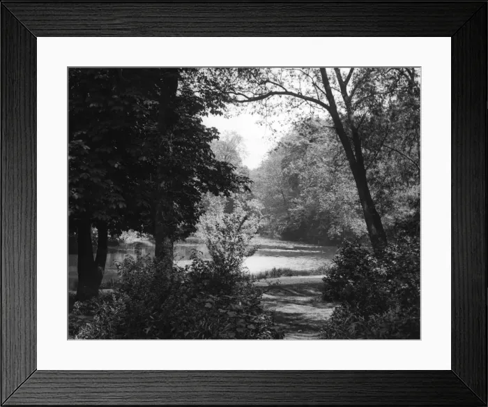 Framed Print : Wanstead Lake Framed Print : Wanstead Lake