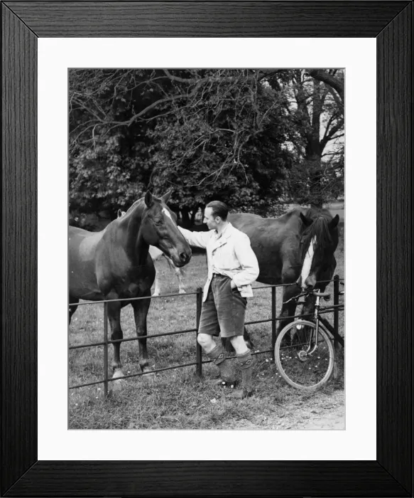 Framed Print : Friendly Horses Framed Print : Friendly Horses