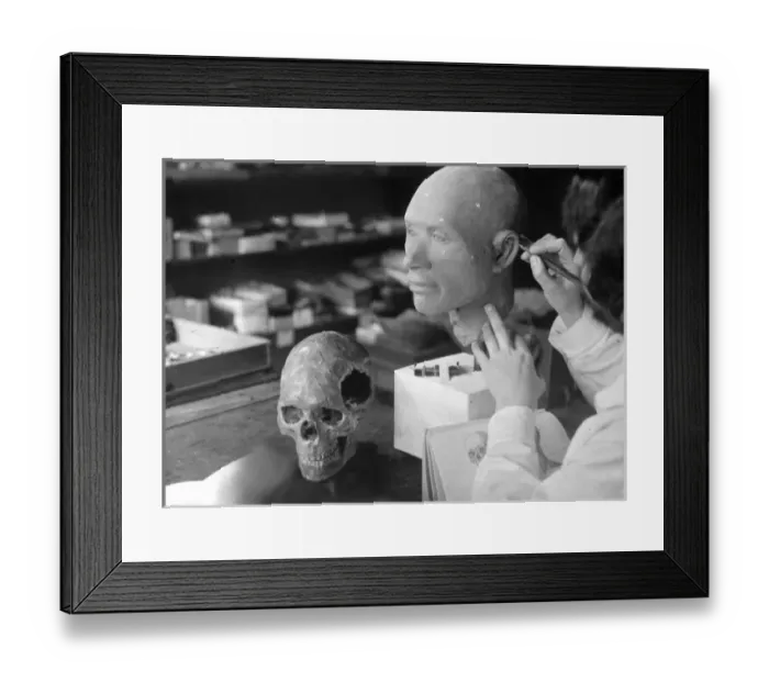 Framed Print : Skull Reconstruction Framed Print : Skull Reconstruction