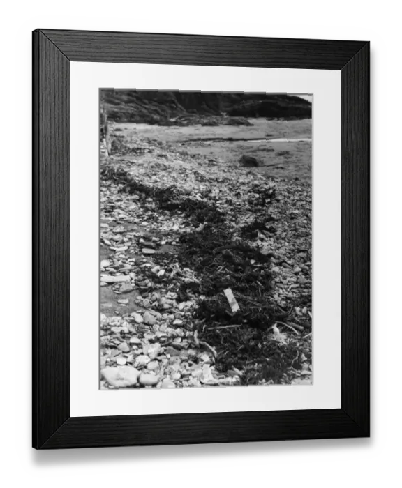 Framed Print : Coastal Jetsam Framed Print : Coastal Jetsam