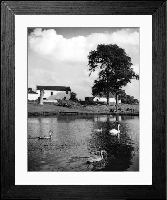 Framed Print : Tranquil Scotland Framed Print : Tranquil Scotland