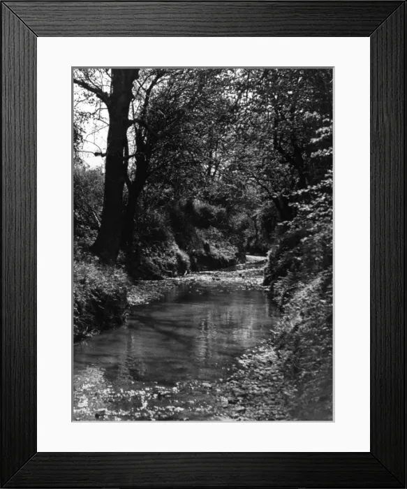 Framed Print : River Lea Tributary Framed Print : River Lea Tributary