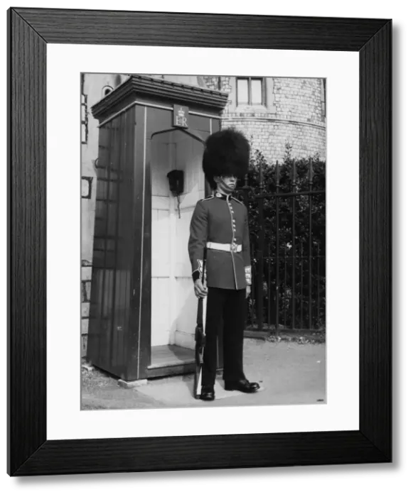 Framed Print : Sentry Duty Framed Print : Sentry Duty