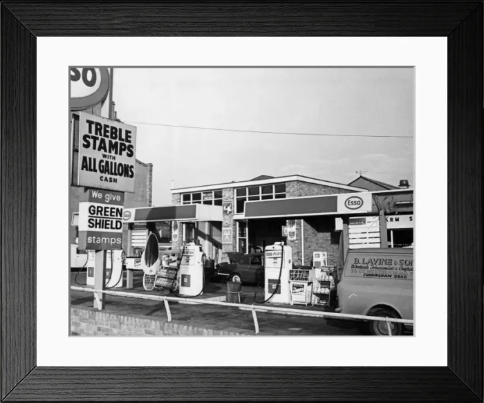 Framed Print : 10185385 Framed Print : 10185385