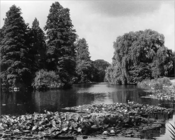 Kew Gardens Lake