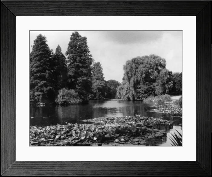 Framed Print : Kew Gardens Lake Framed Print : Kew Gardens Lake