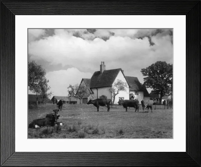 Framed Print : Bedfordshire Farmhouse Framed Print : Bedfordshire Farmhouse
