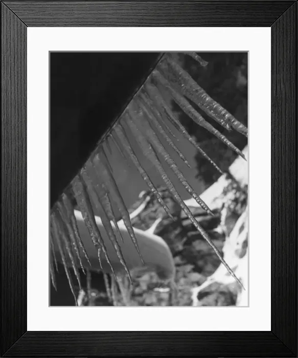 Framed Print : ICICLES. A study of icicles. Date: 1930s Framed Print : ICICLES. A study of icicles. Date: 1930s