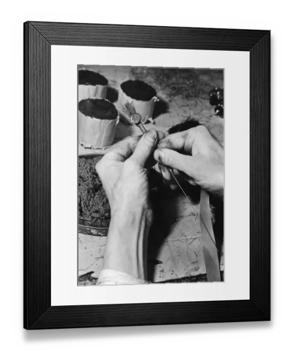 Framed Print : Making Poppies Framed Print : Making Poppies