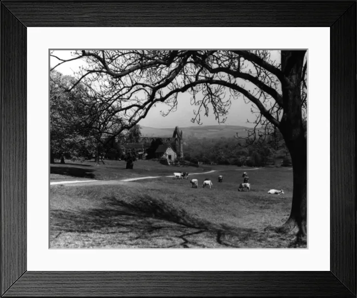 Framed Print : Bolton Abbey Framed Print : Bolton Abbey