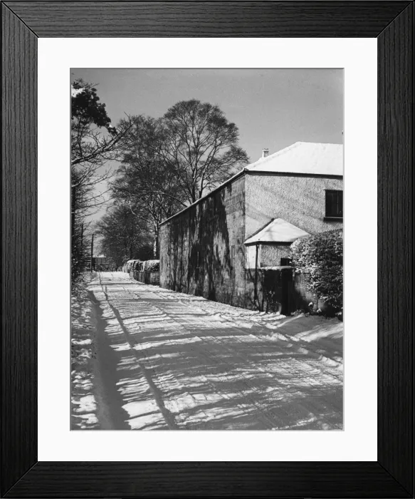 Framed Print : Snowy Shadows Framed Print : Snowy Shadows