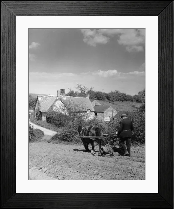 Framed Print : Using a Seed Drill Framed Print : Using a Seed Drill
